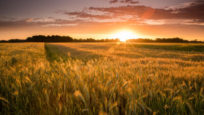 Grace and Favor (Part 2 of 2)