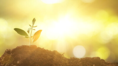 The Coming of the Lord (Part 5 of 6)