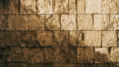 Learning From the Past