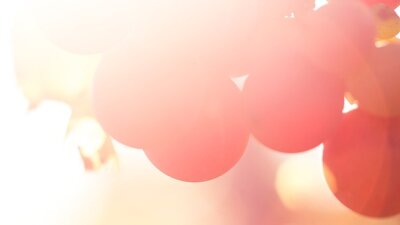 Jesus, the Great Guarantee