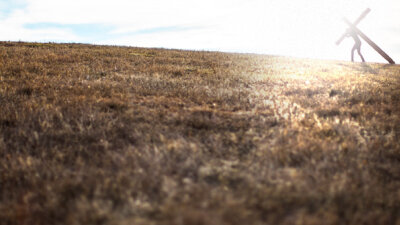 “Take Up Your Cross …”