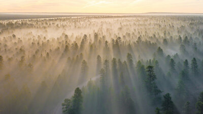 The Spirit of Sonship (Part 2 of 2)