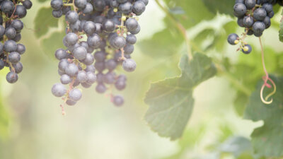 Do Not Grieve the Holy Spirit of God (Part 2 of 2)