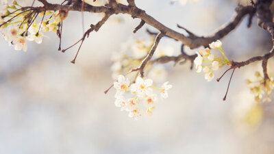 Grace and Favor (Part 1 of 2)