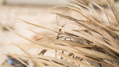 Loyal Community (Part 3 of 3)