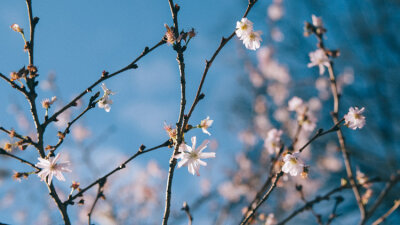 FRANgelism (Part 2 of 5)