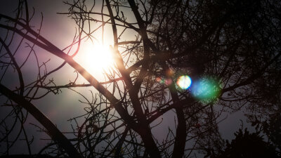 “I Will Instruct You” (Part 1 of 2)