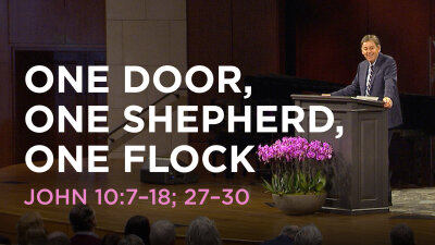 One Door, One Shepherd, One Flock