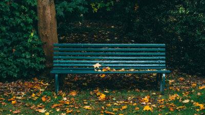 God’s Patience (Part 2 of 2)