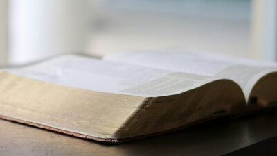 God’s Perspective on David’s Proposal (Part 2 of 2)