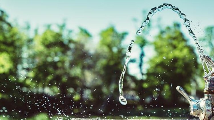 Who’s Going Thirsty?