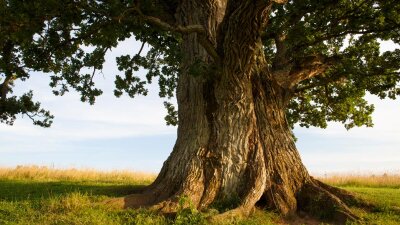 Love Is Forever (Part 1 of 2)