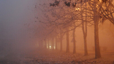 Mark 13: An Introduction 