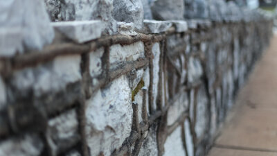 That’s Not Normal! (Part 1 of 2)