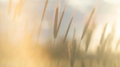 Evangelism Explosion (Part 2 of 3)