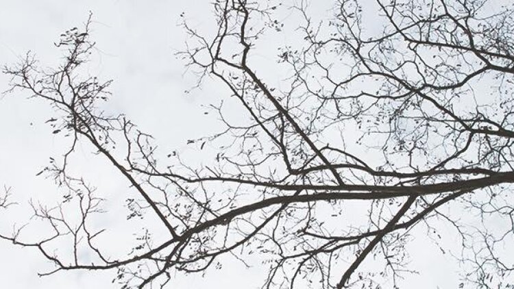 Let the Thirsty Come