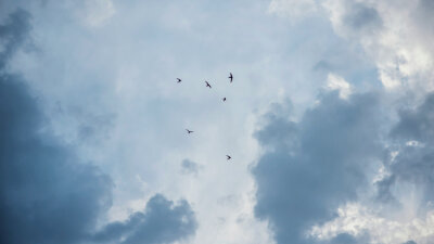 From Strength to Strength