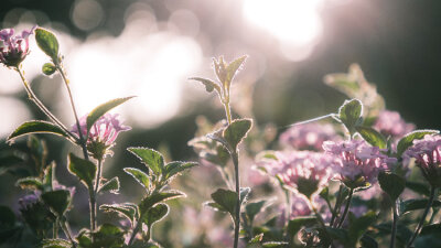 Christ Knows Your Works