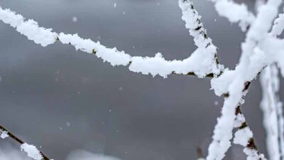 My Help Comes from the Lord