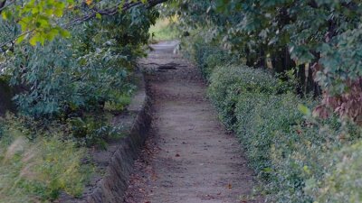 The Path of Unbelief