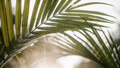 The Coming Kingdom (Part 1 of 2)