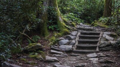 “Where Are You?”