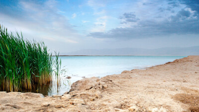 Jesus: Baptized, Tempted