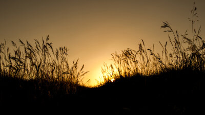 Christmas in Genesis (Part 2 of 6)