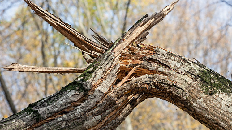 What Are Your Chances?