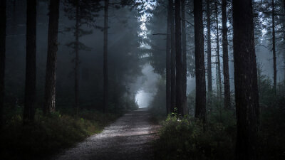 Judas: An Enigma (Part 1 of 2)