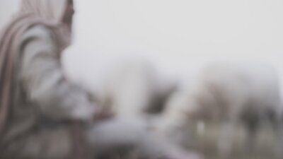 Sovereign Lord, Gentle Shepherd