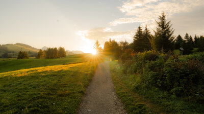 The Pace of Your Spiritual Journey