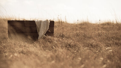 When? What? Why? (Part 3 of 3)