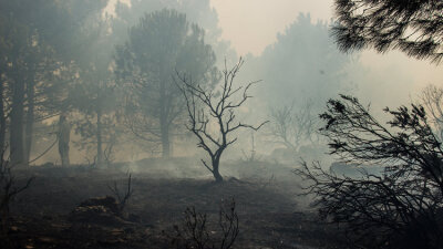 Our Present Sufferings