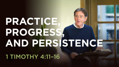 Practice, Progress, and Persistence