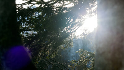 Thinking Like Christ