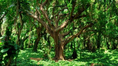 Christian Maturity (Part 1 of 2)