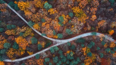 Who Is Jesus? (Part 3 of 6)