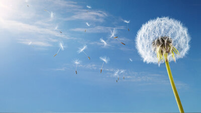 “For Such a Time as This” (Part 1 of 2)