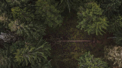 Elders: Taking Care of God’s Church (Part 1 of 2)