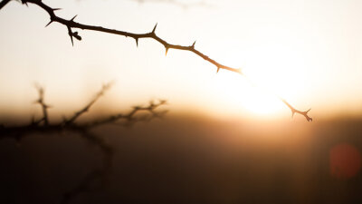 Favoritism (Part 6 of 6)