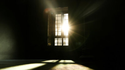 This Dark World’s Light
