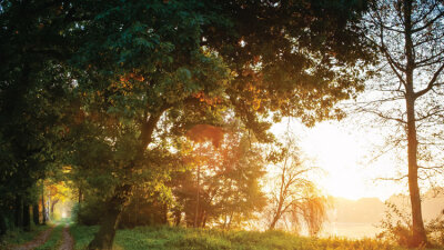 “His Name Is John” (Part 2 of 4)