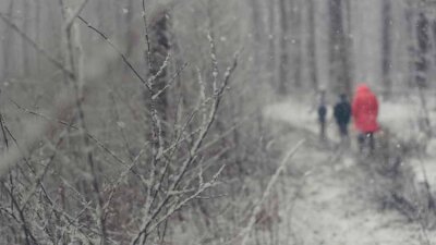 Walk in Love (Part 2 of 4)