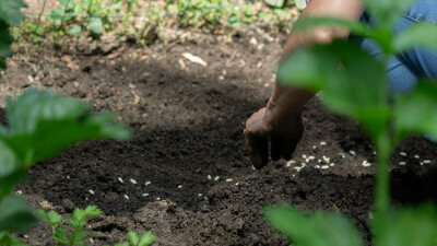 One Faith (Part 2 of 2)