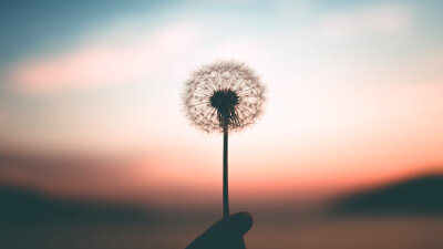 The Eyes of Your Heart (Part 1 of 3)