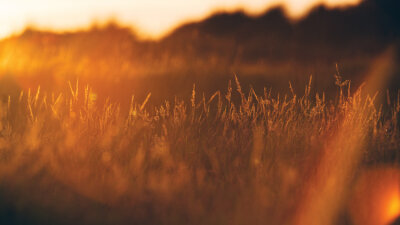 The Golden Rule (Part 2 of 2)