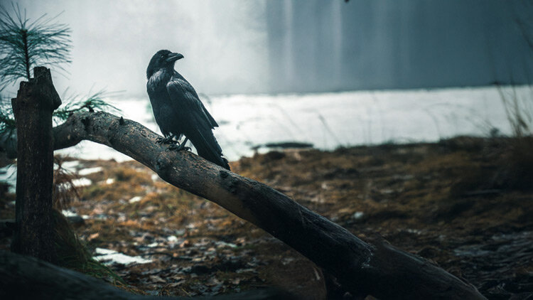 Eternally Crowned With Majesty