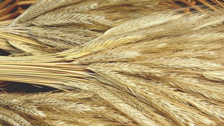 We Will Wait in Prayer Tonight