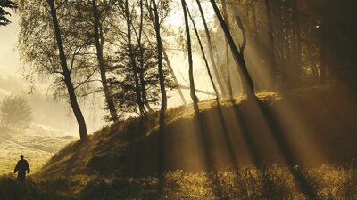 The Call of Christian Faith